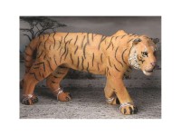Animal Universe Tiger i åben æske 16x9,5x11cm