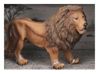 Animal Universe Løve i åben æske 16x9,5x11cm