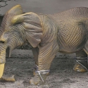 Animal Universe Elefant i åben æske 16x9,5x11cm