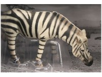 Animal Universe Zebra åben æske 16x9,5x11cm