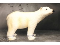 Animal Universe Isbjørn i åben æske 18x11x11,5cm