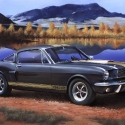 REVELL Shelby Mustang GT 350 H