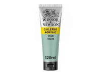 Winsor Newton Galeria Acrylic 120Ml Pale Olive 435