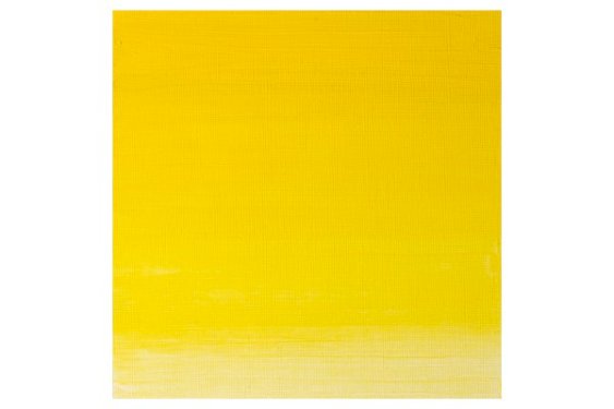 Winsor Newton Artists oil colour 200ml winsor yellow 730