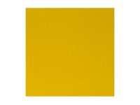 Winsor Newton Proff. acrylic 60ml azo yellow medium 019