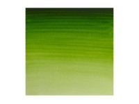 Winsor Newton Watercolour proff. 1/2 pan Permanent Sap Green 503