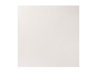 Winsor Newton Watercolour proff. 1/2 pan Titanium White Opaque