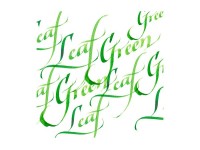 Winsor Newton Calligraphy Ink 30Ml Leaf Green 341
