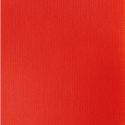 LIQUITEX Basics 118Ml Cadmium Red Light Hue 510